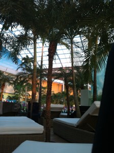 K, so this is a BAD photo, but photos are forbidden, so you're welcome for taking a risk for you all!!  ;)Check out their website for cooler pics.